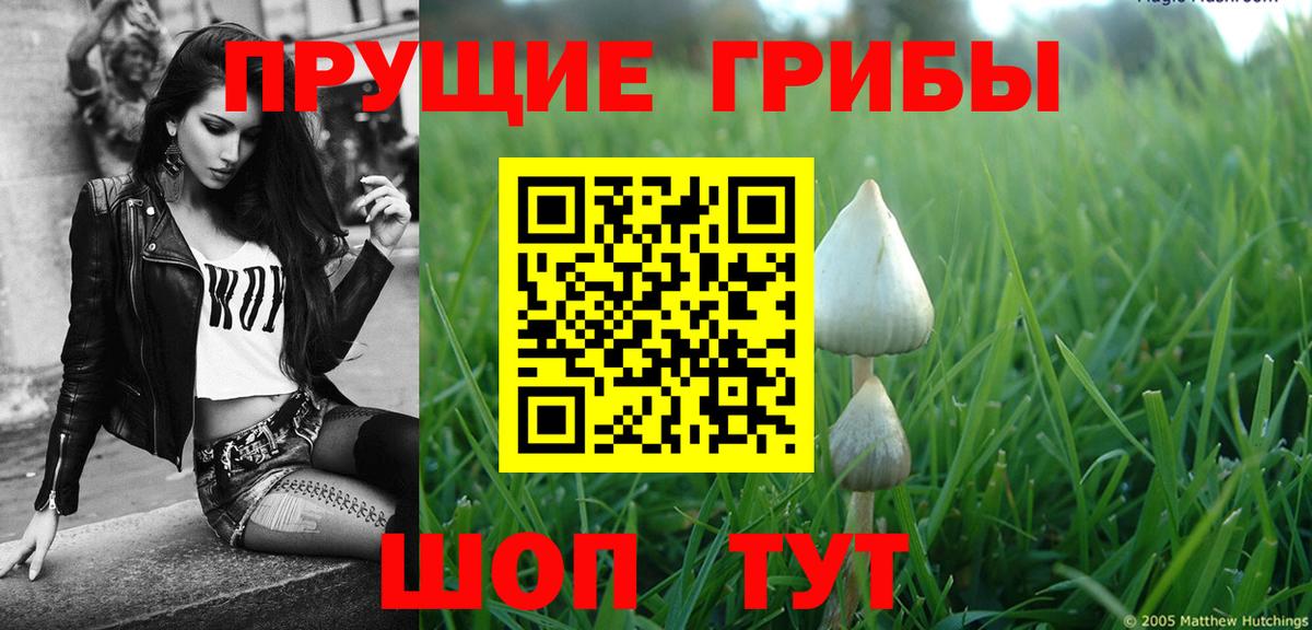 Краснодар  Галлюциногенные грибы Psilocybe  Галлюциногенные грибы мухоморы  Вход с VPN 